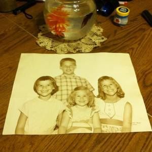 Meet your Posher, Donna